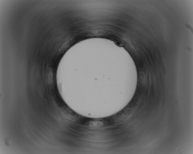 X0000096940220200803071013