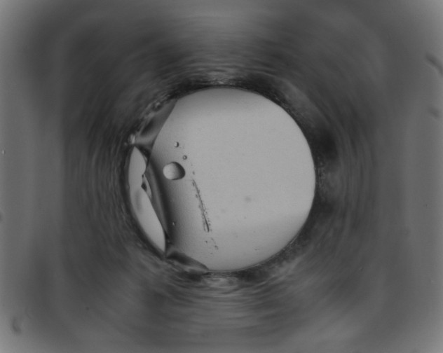 X0000096940221200803071013