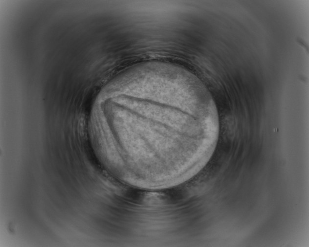 X0000096940222200803071013