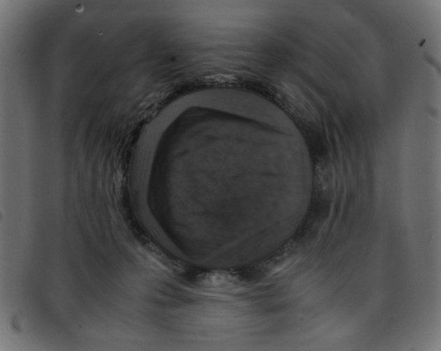 X0000096940223200803071013