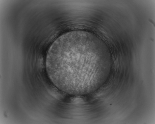 X0000096940224200803071013