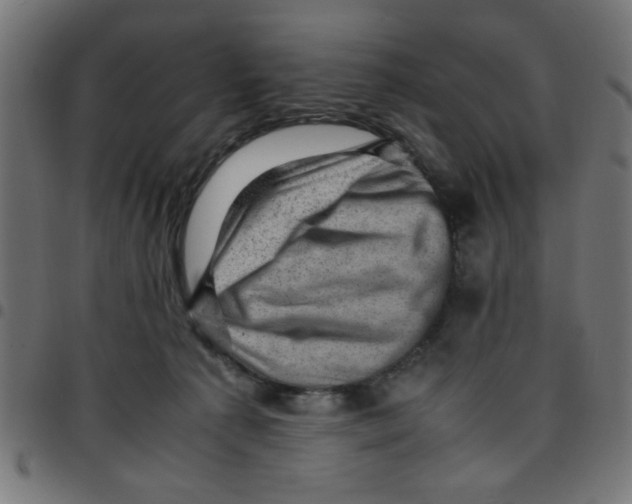 X0000096940225200803071013