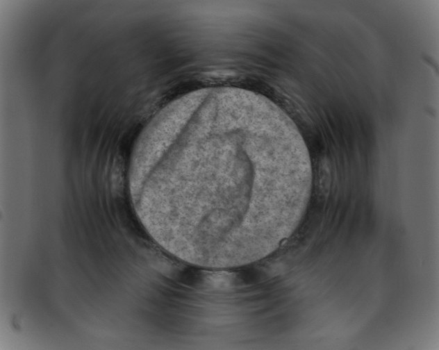 X0000096940226200803071013