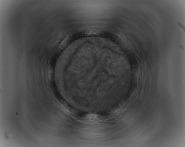 X0000096940227200803071013