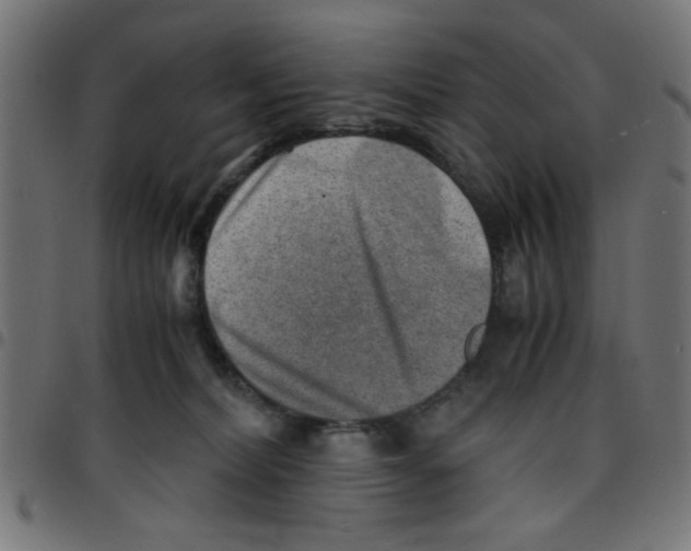 X0000096940228200803071013