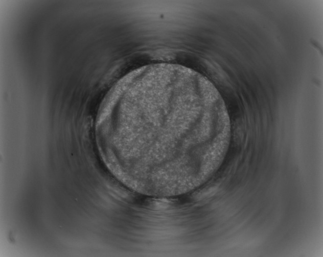X0000096940229200803071013