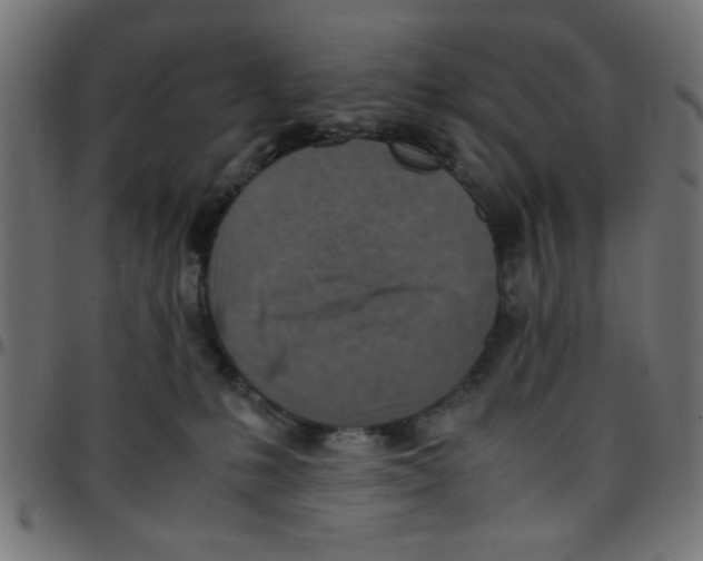 X0000096940231200803071013