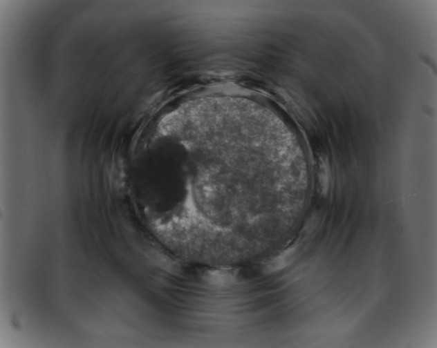 X0000096940232200803071013