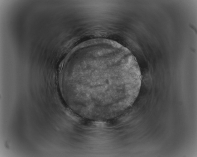 X0000096940233200803071013