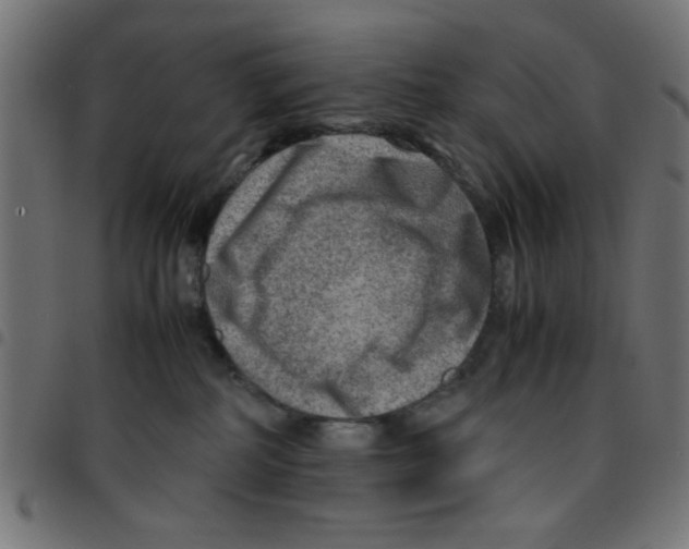 X0000096940234200803071013
