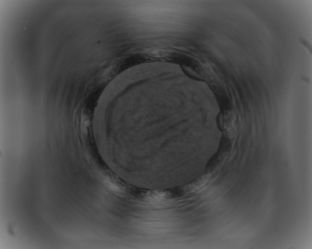 X0000096940235200803071013