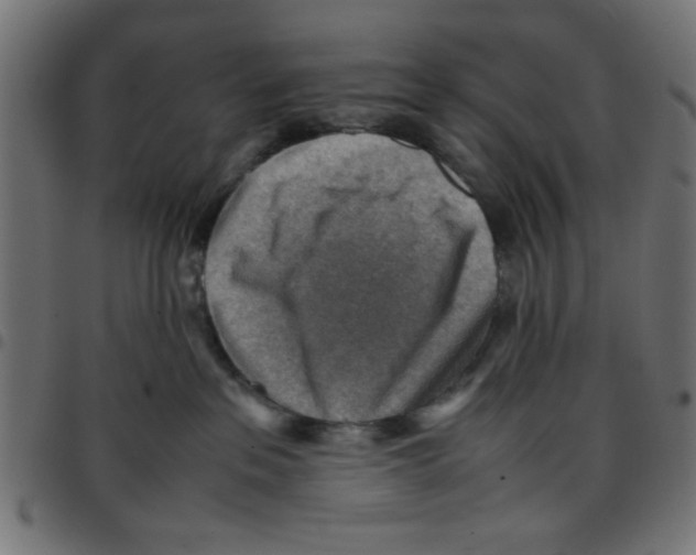 X0000096940237200803071013