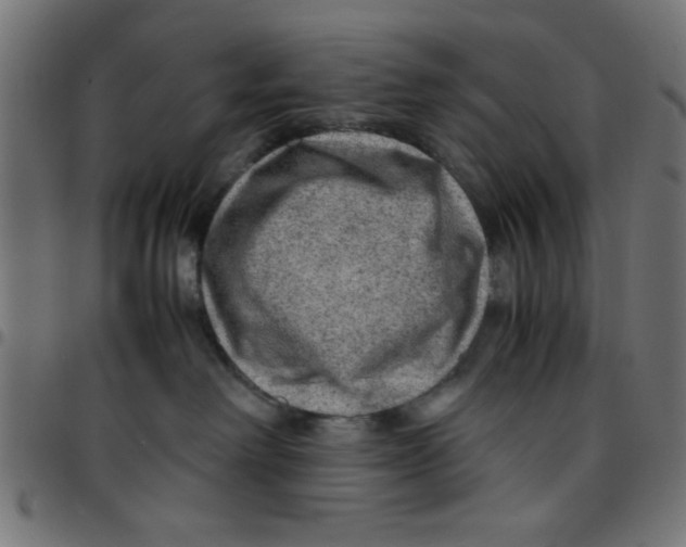 X0000096940238200803071013
