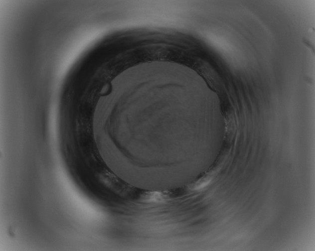 X0000096940239200803071013