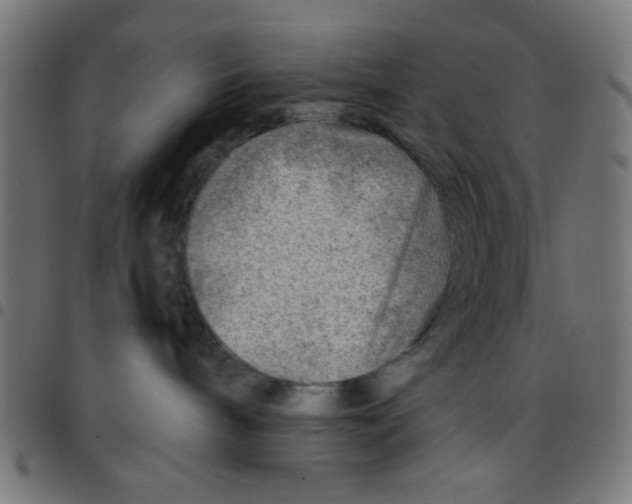 X0000096940240200803071012