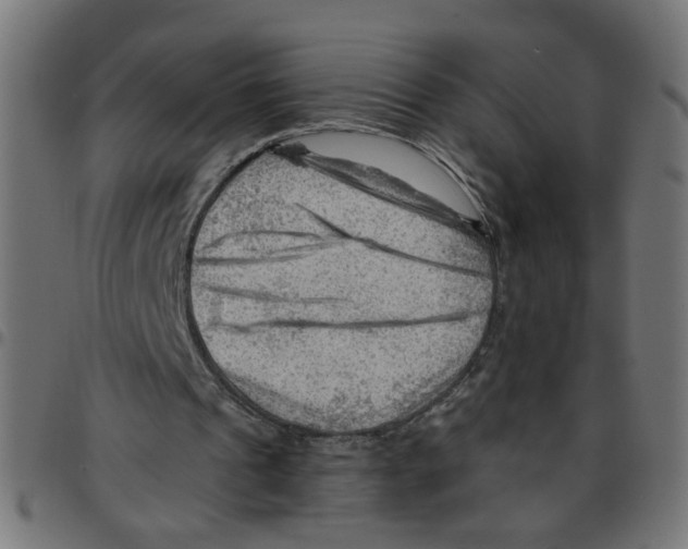 X0000096940241200803071012