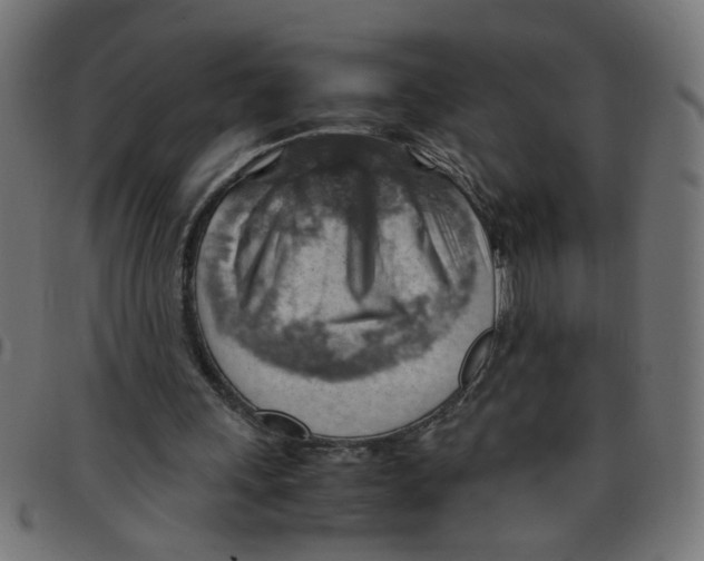 X0000096940243200803071012