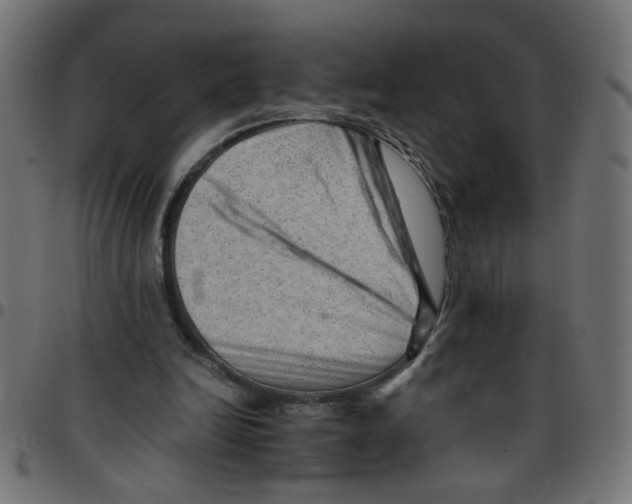 X0000096940246200803071012