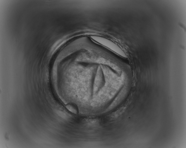 X0000096940247200803071012