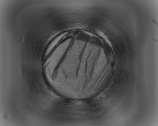 X0000096940249200803071012