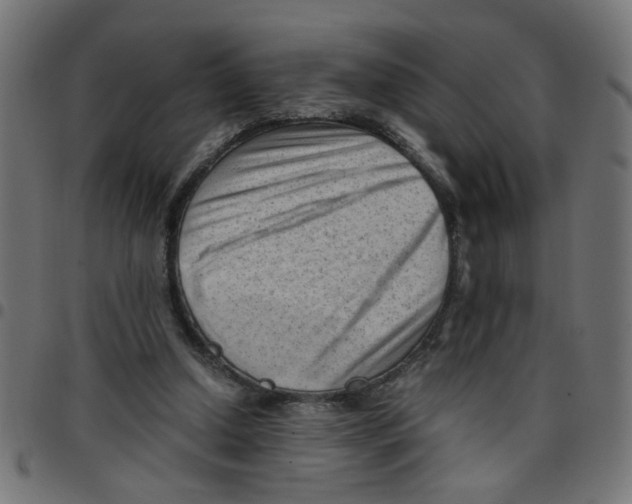 X0000096940250200803071012