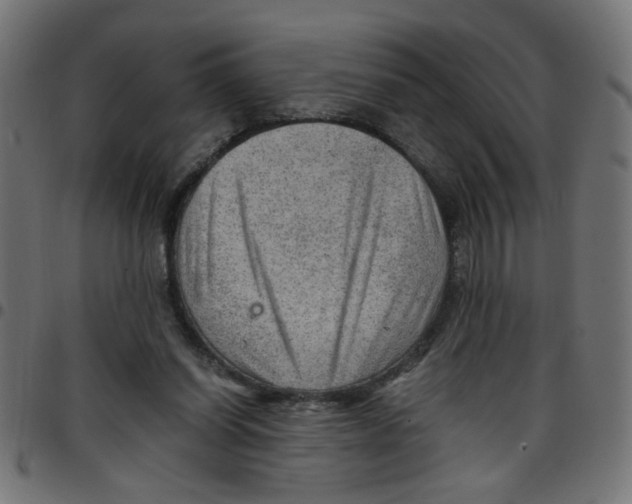X0000096940254200803071012