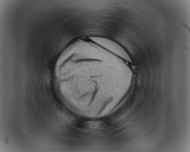 X0000096940255200803071012