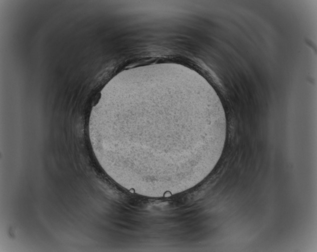 X0000096940257200803071012