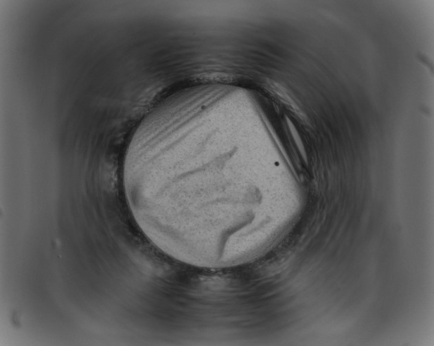 X0000096940259200803071012