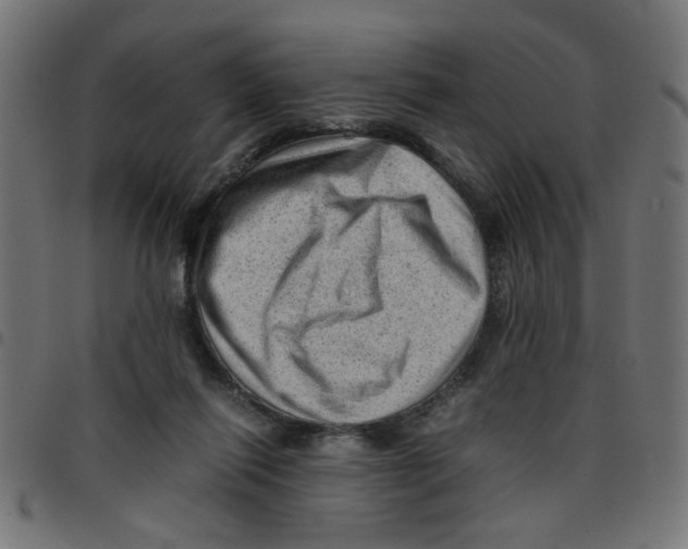 X0000096940262200803071012