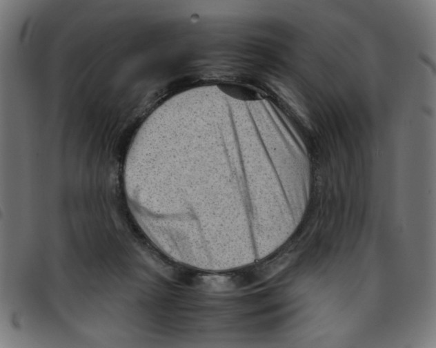 X0000096940265200803071012