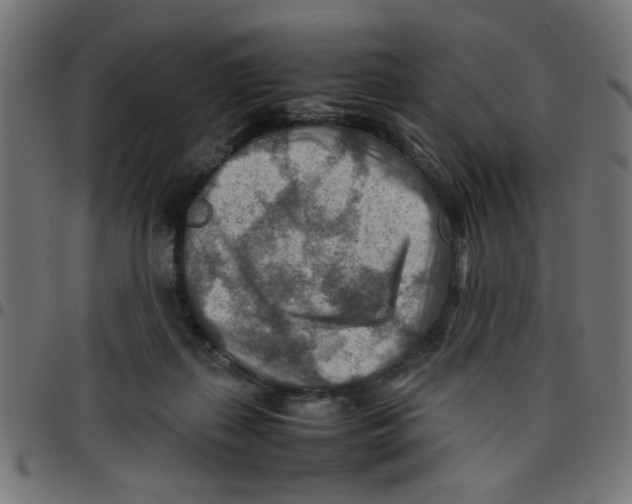 X0000096940267200803071012