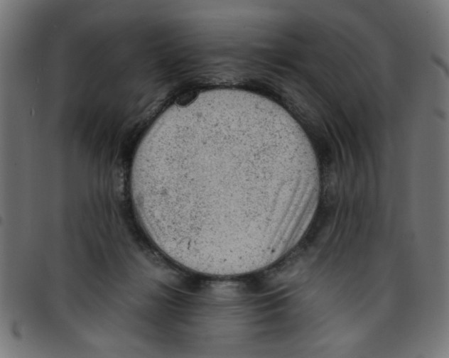 X0000096940268200803071012