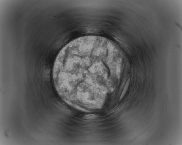 X0000096940269200803071012
