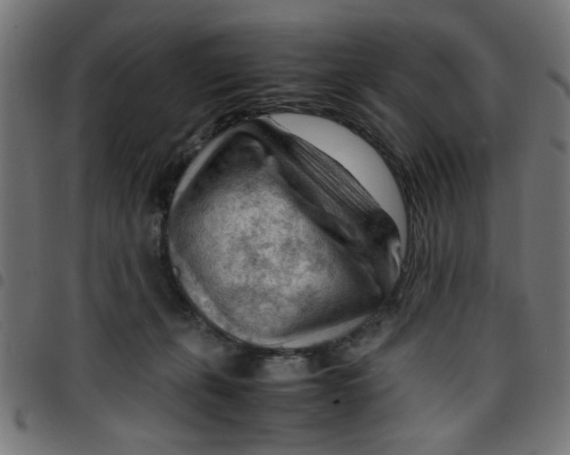 X0000096940271200803071012