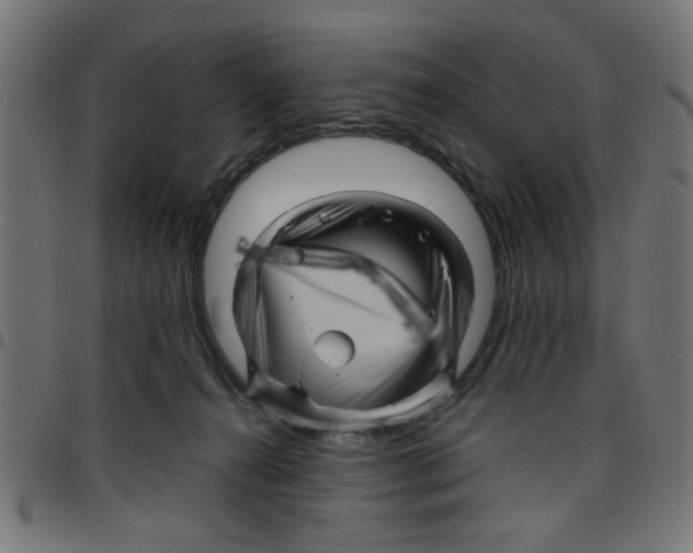X0000096940272200803071012