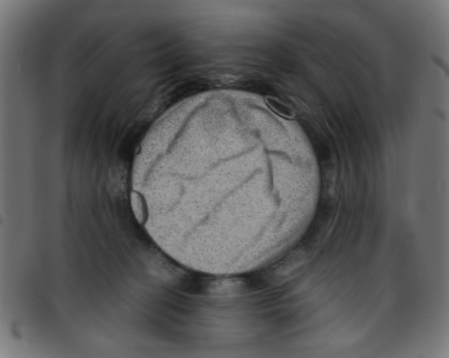 X0000096940274200803071012
