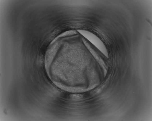 X0000096940277200803071012