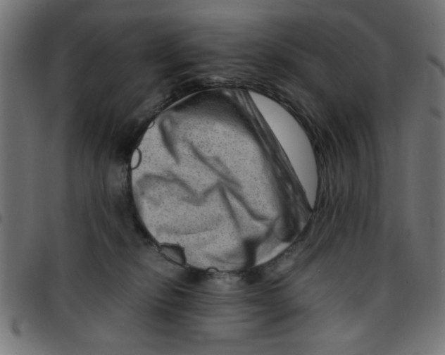 X0000096940278200803071012