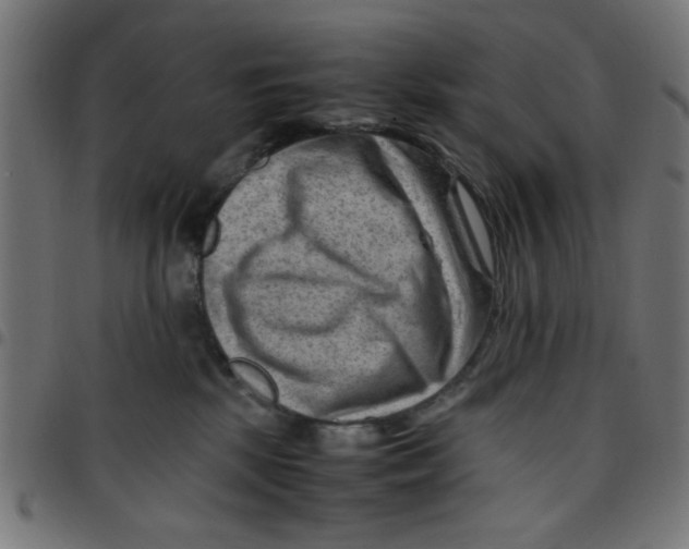 X0000096940281200803071012