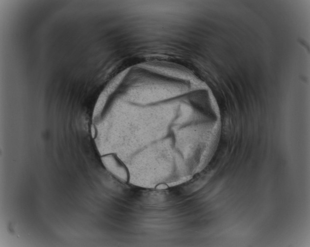 X0000096940282200803071012