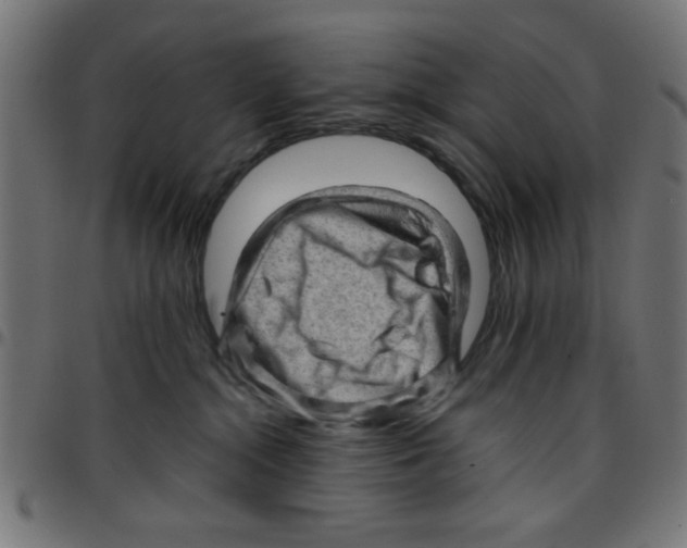 X0000096940284200803071012
