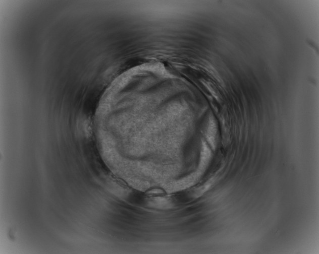 X0000096940285200803071012