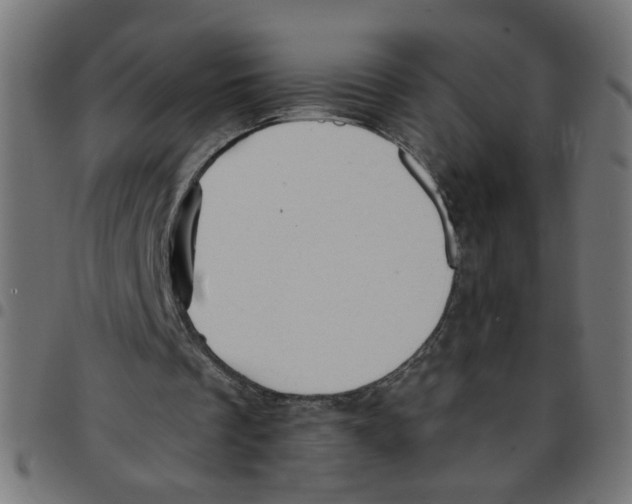 X0000096940289200803071012