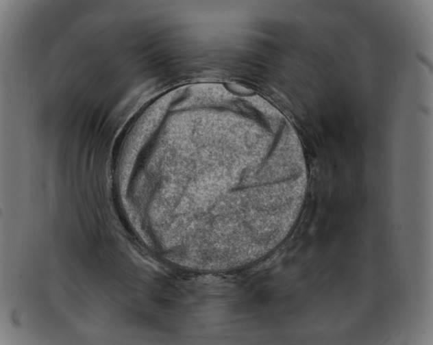 X0000096940290200803071012