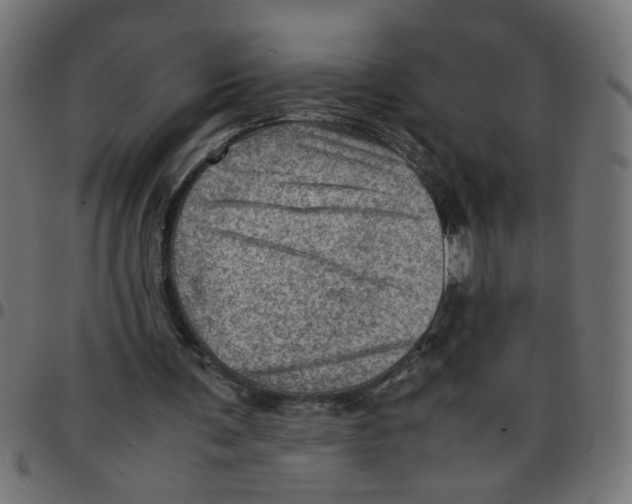 X0000096940291200803071012