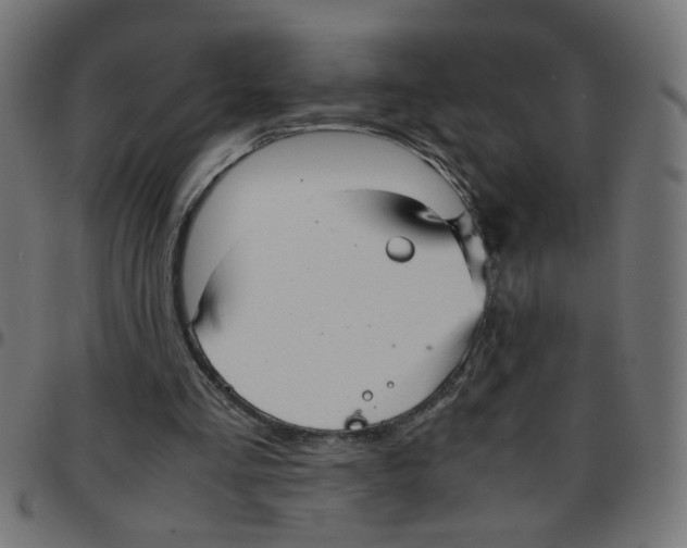 X0000096940293200803071012
