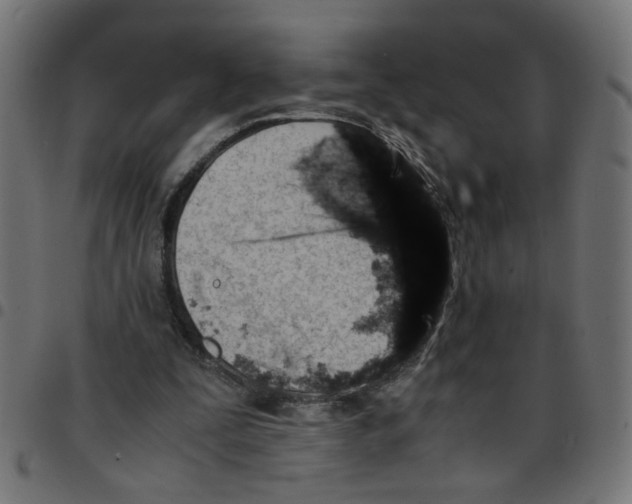 X0000096940295200803071012