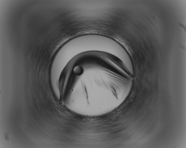 X0000096940297200803071012