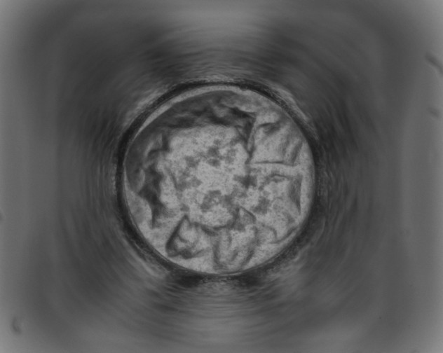 X0000096940299200803071012
